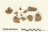 藏品(羊角衣)的圖片